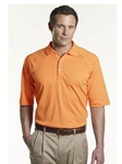 Solid Jersey Polo
